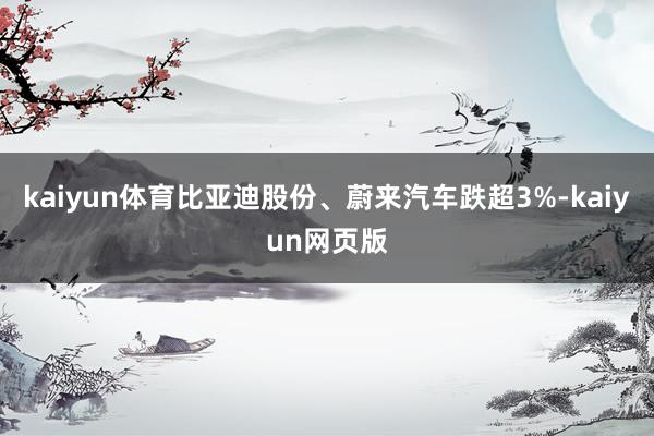kaiyun体育比亚迪股份、蔚来汽车跌超3%-kaiyun网页版
