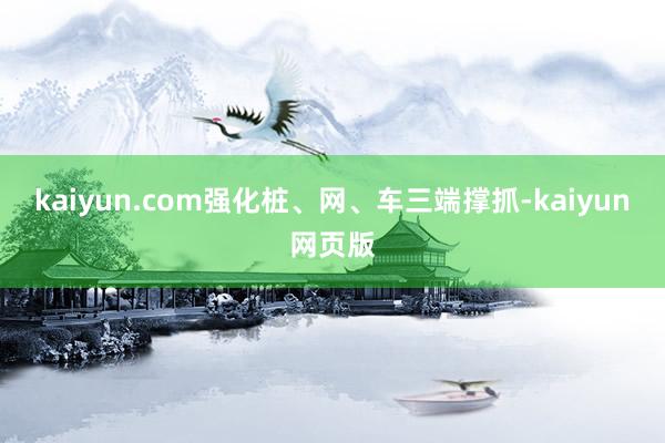 kaiyun.com强化桩、网、车三端撑抓-kaiyun网页版