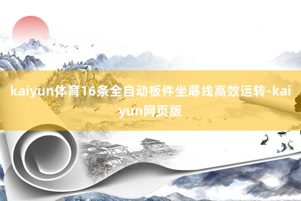 kaiyun体育16条全自动板件坐蓐线高效运转-kaiyun网页版