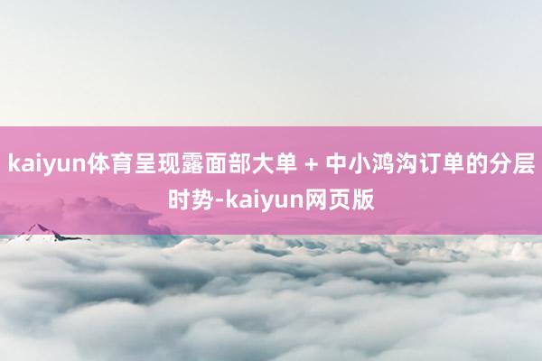kaiyun体育呈现露面部大单 + 中小鸿沟订单的分层时势-kaiyun网页版