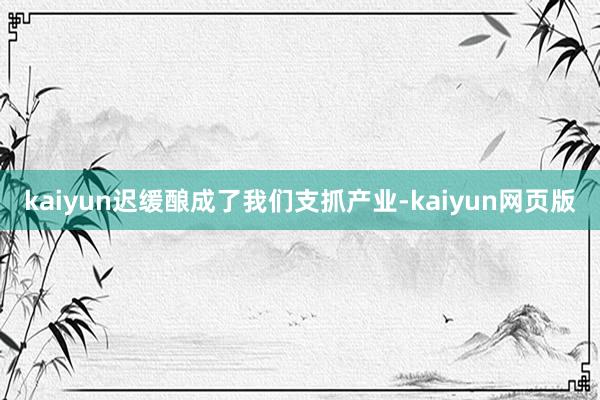 kaiyun迟缓酿成了我们支抓产业-kaiyun网页版