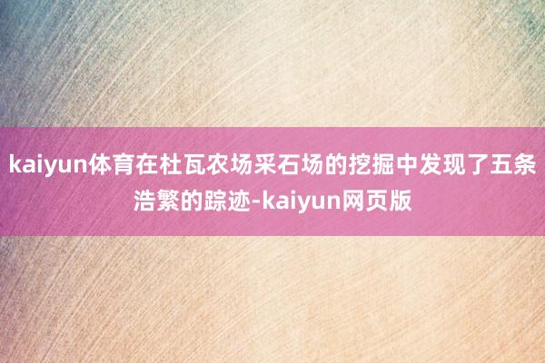 kaiyun体育在杜瓦农场采石场的挖掘中发现了五条浩繁的踪迹-kaiyun网页版