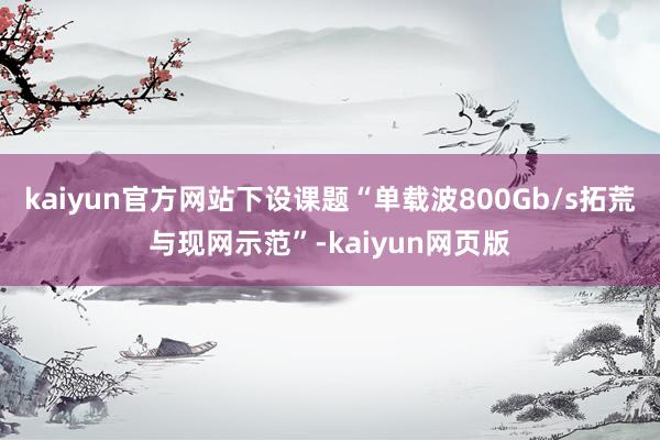 kaiyun官方网站下设课题“单载波800Gb/s拓荒与现网示范”-kaiyun网页版