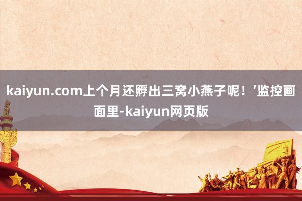 kaiyun.com上个月还孵出三窝小燕子呢！’监控画面里-kaiyun网页版