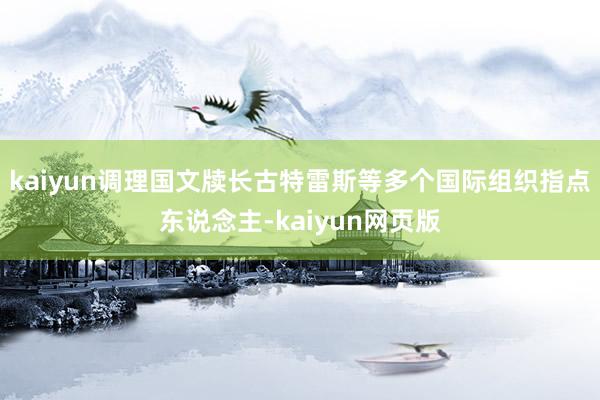 kaiyun调理国文牍长古特雷斯等多个国际组织指点东说念主-kaiyun网页版