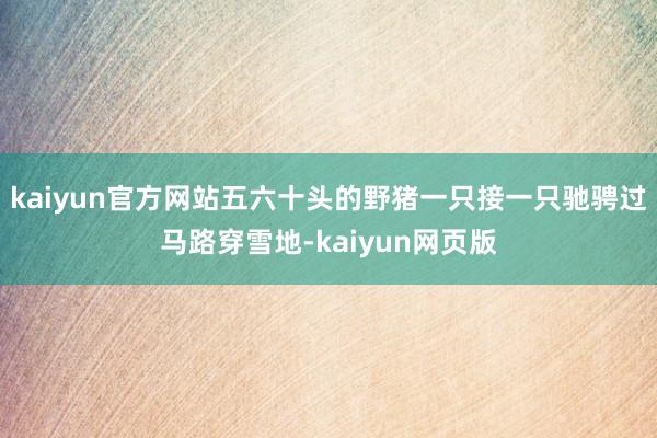 kaiyun官方网站五六十头的野猪一只接一只驰骋过马路穿雪地-kaiyun网页版