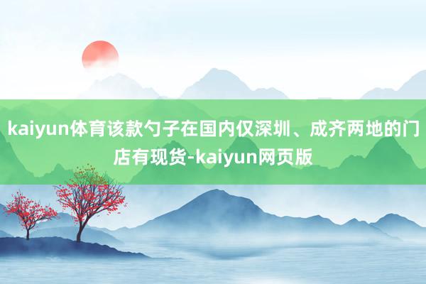 kaiyun体育该款勺子在国内仅深圳、成齐两地的门店有现货-kaiyun网页版